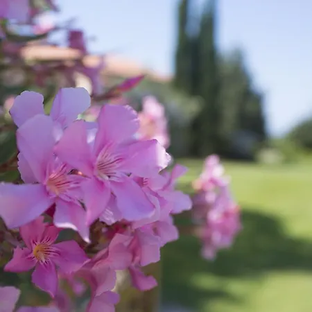 Maison d'hôtes Agriturismo Le Vallette 2*