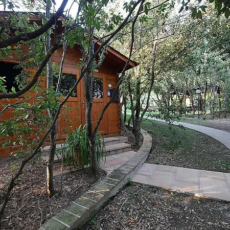 Maison d'hôtes Agriturismo Le Vallette Bibbona